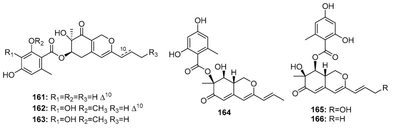 Figure 24