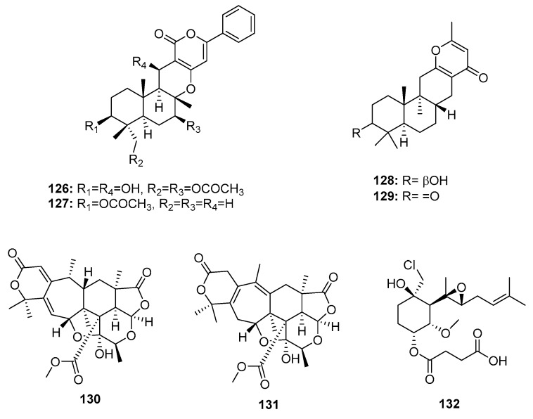 Figure 20