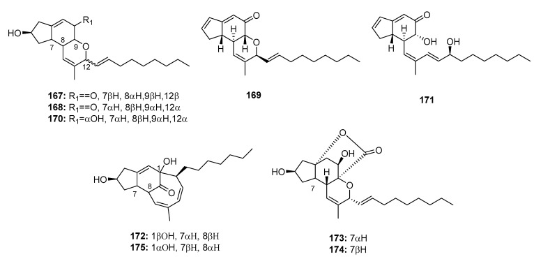 Figure 25