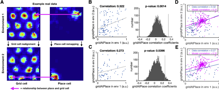 Figure 6