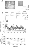 Fig 4.