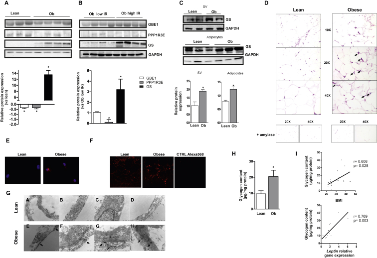 Figure 6