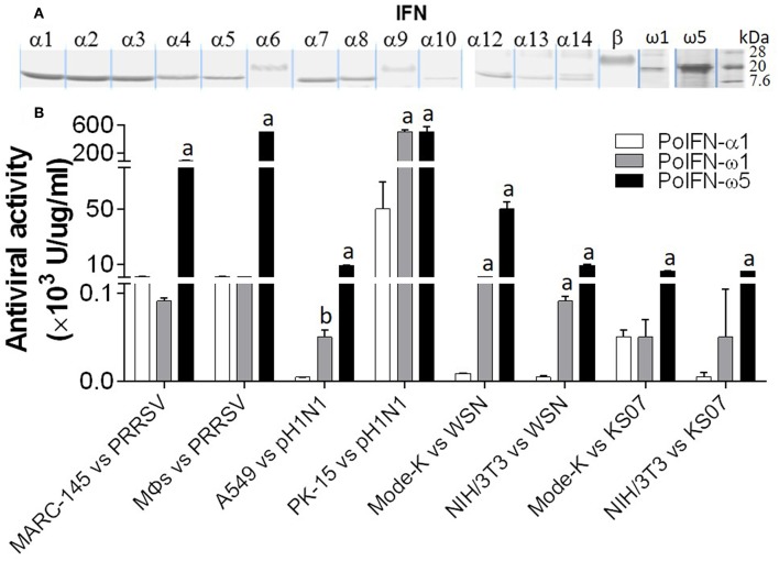 Figure 9