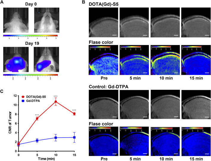 FIGURE 3