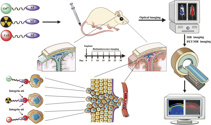 GRAPHICAL ABSTRACT