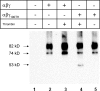 Figure 11.