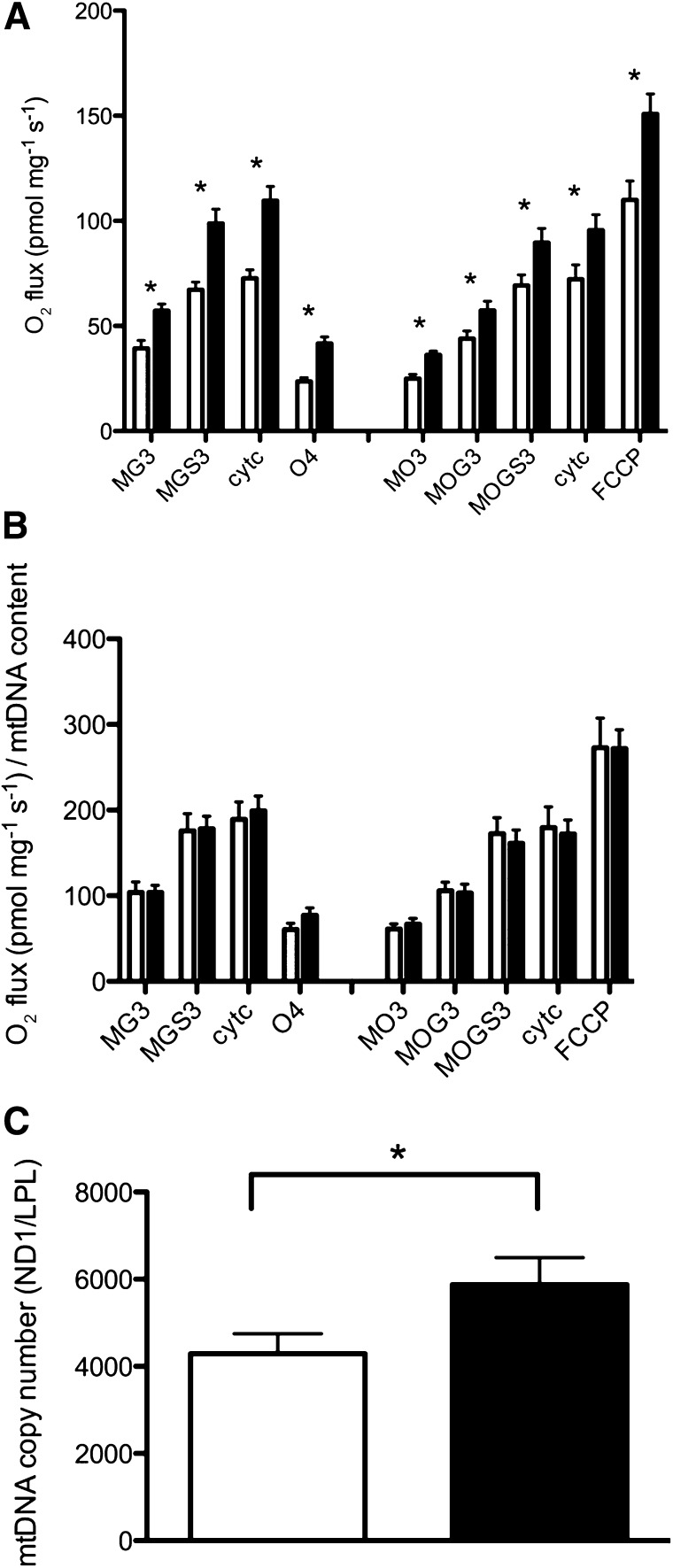 FIG. 1.