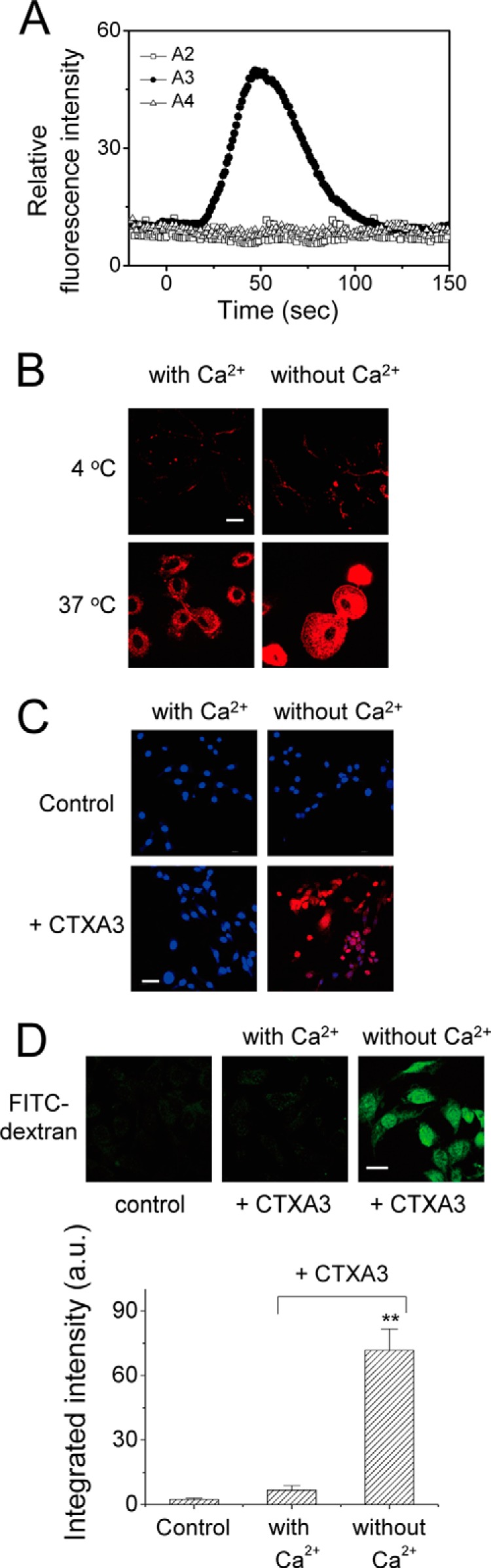 FIGURE 7.