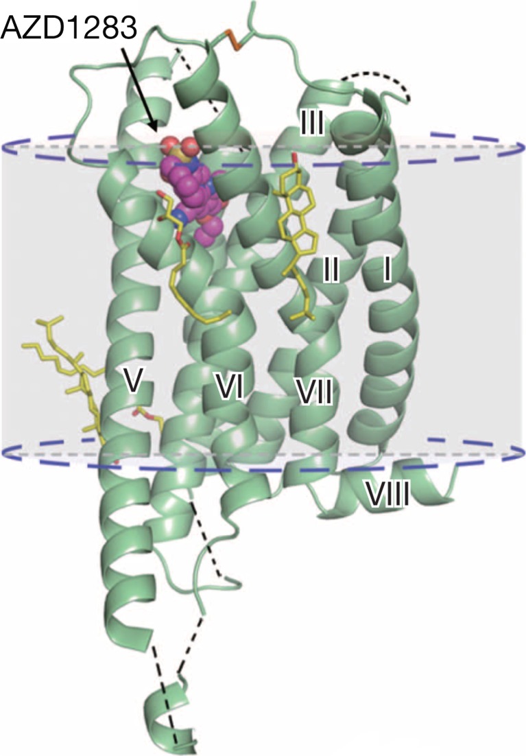 Fig. 9