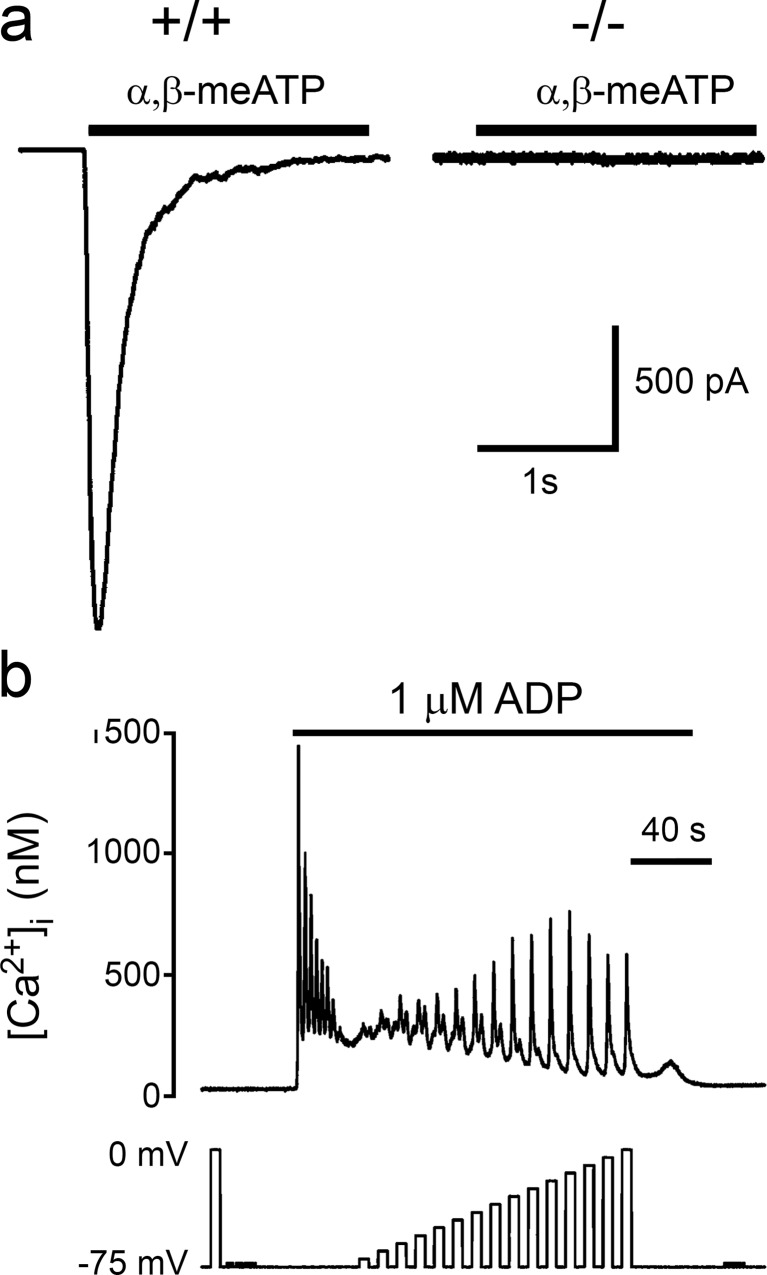 Fig. 10