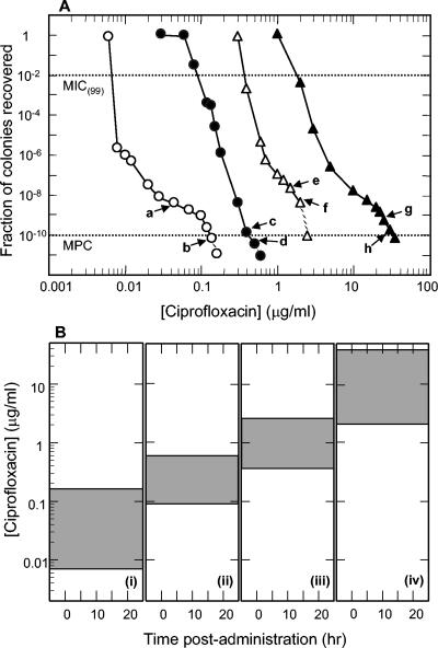 FIG. 1.