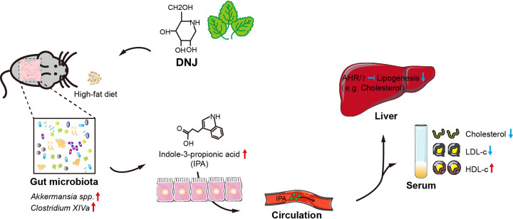 FIG 6