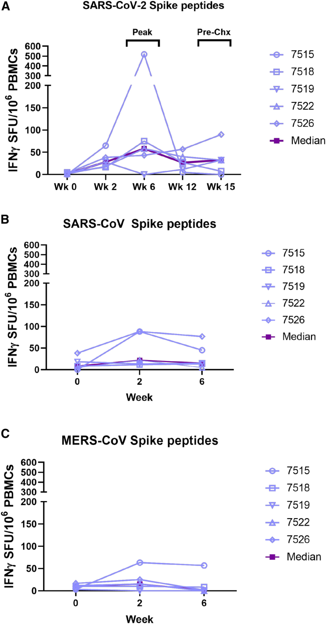 Figure 2