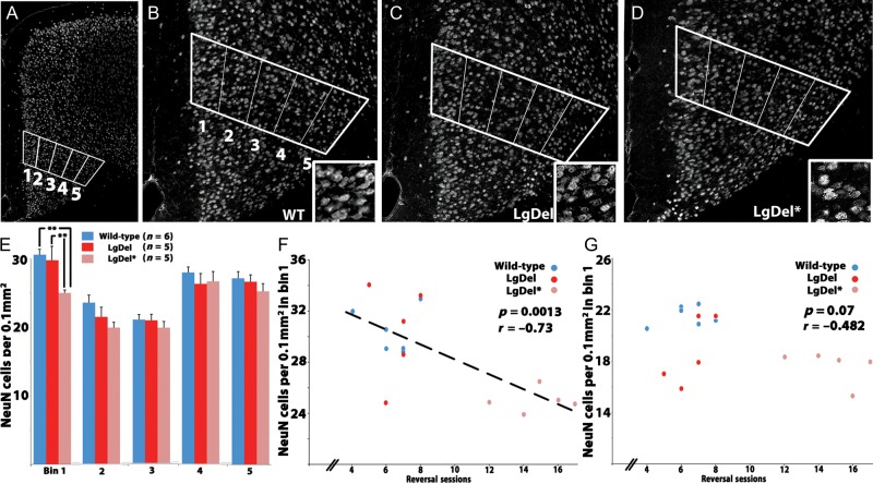 Figure 4.