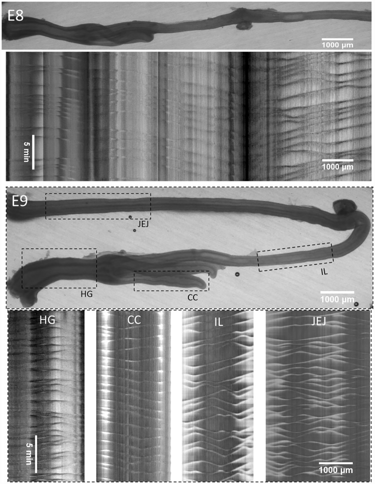 Fig 3