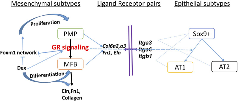 Fig. 10.