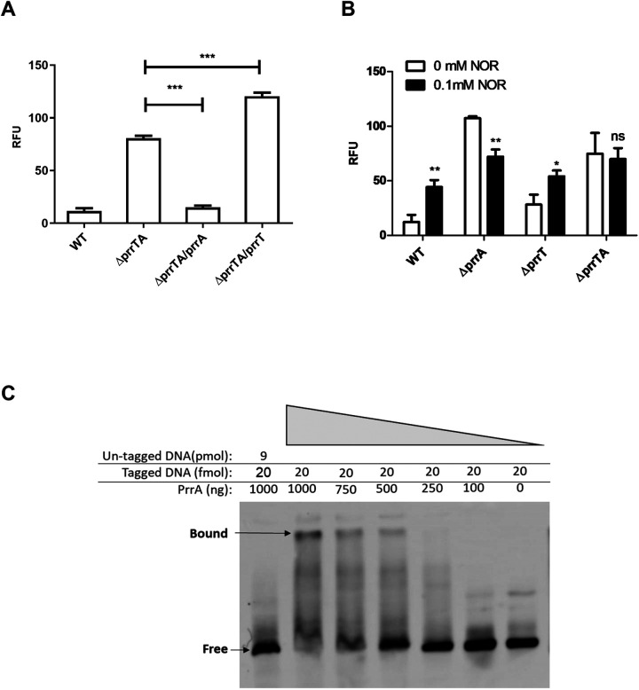 FIG 2