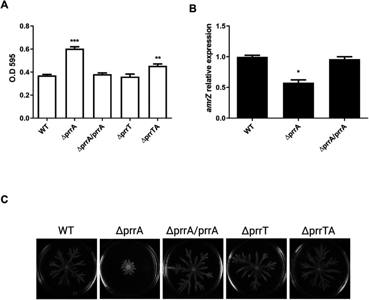 FIG 3