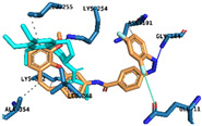 graphic file with name molecules-27-05836-i001.jpg