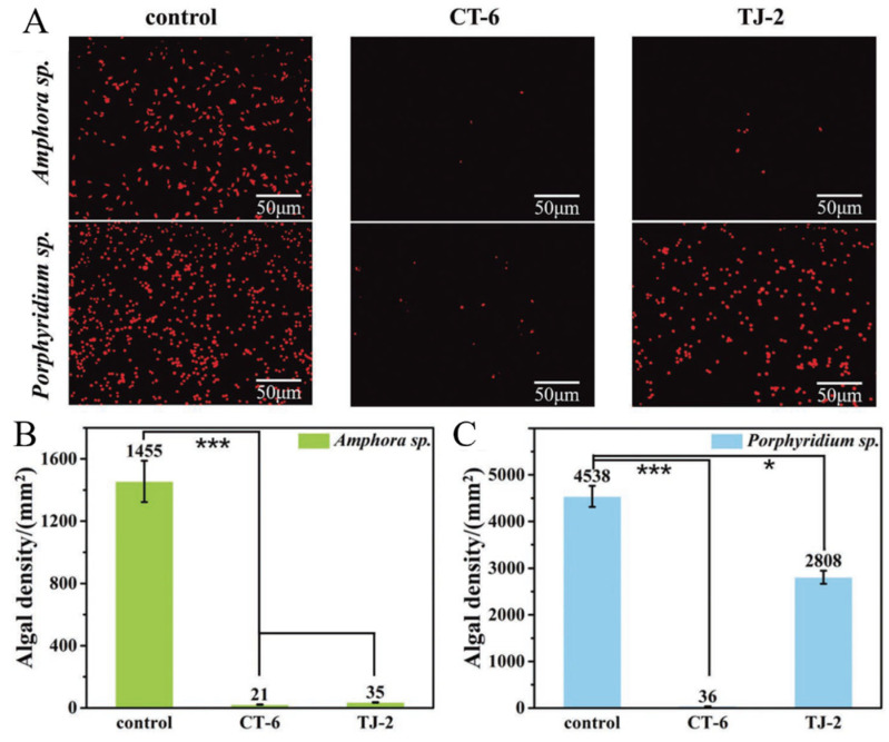 Figure 16