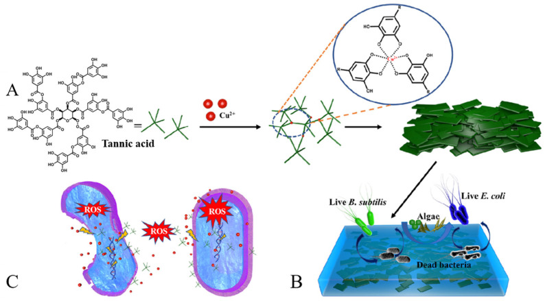 Figure 11