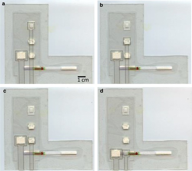 Fig. 2