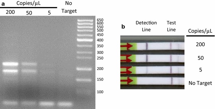 Fig. 3