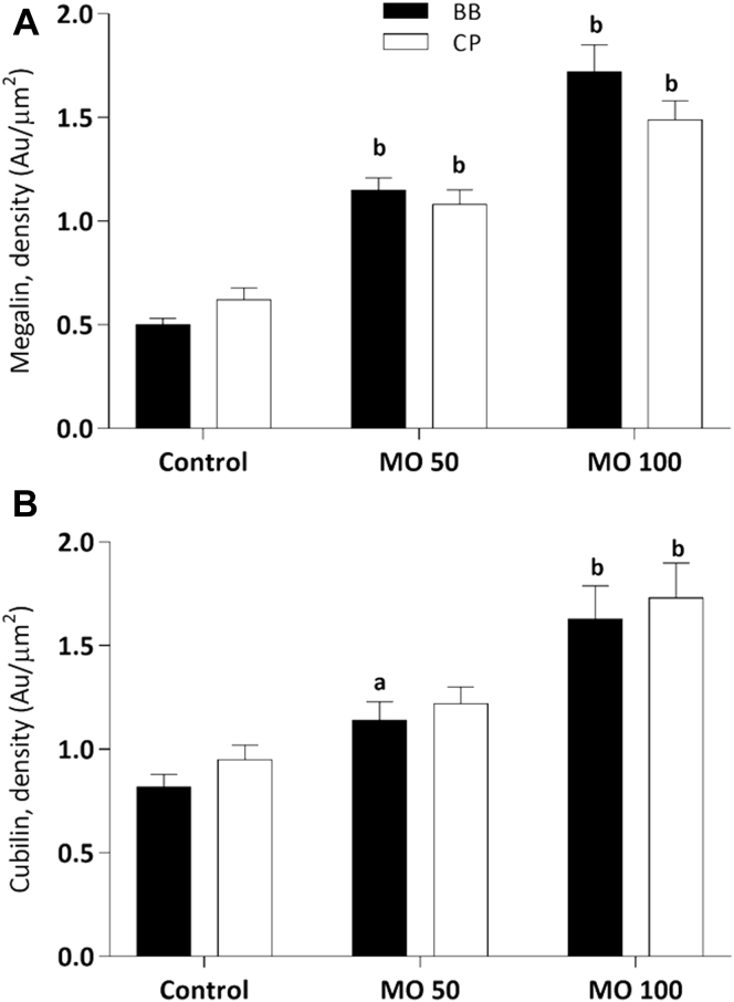 Figure 7