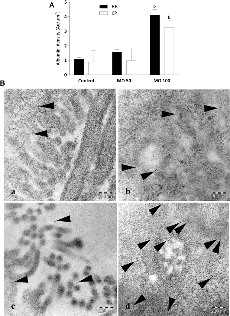 Figure 4