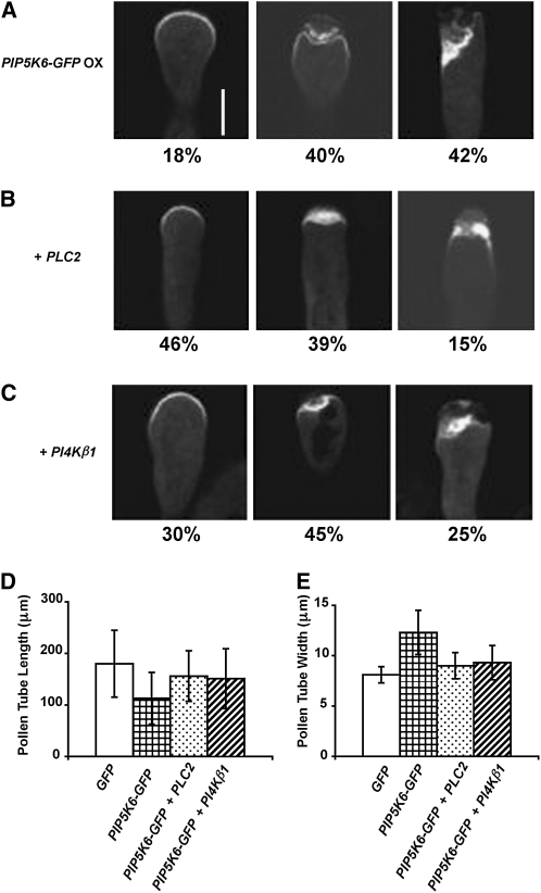 Figure 6.