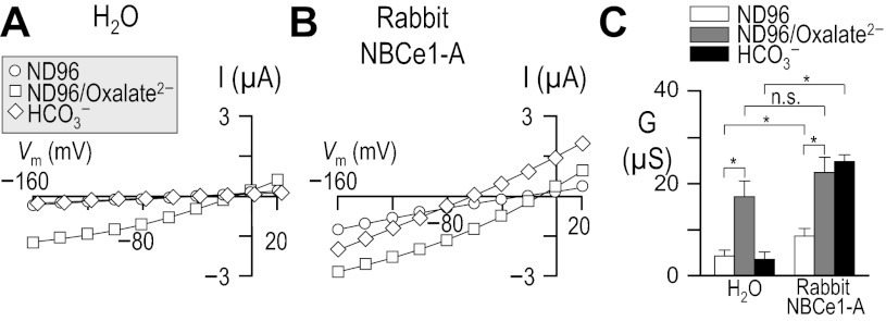 Fig. 8.