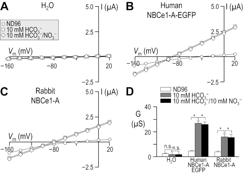 Fig. 12.