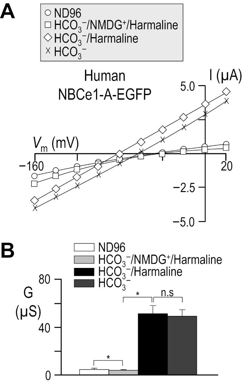 Fig. 15.