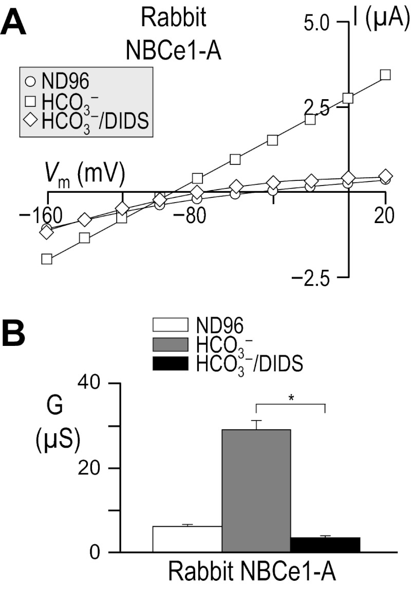 Fig. 13.