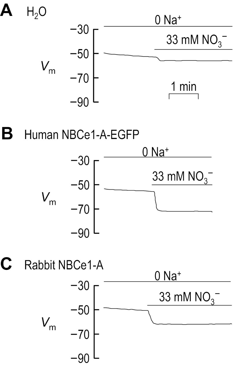 Fig. 10.