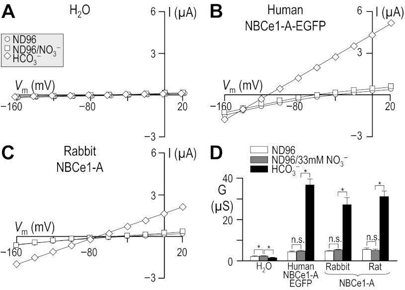 Fig. 9.