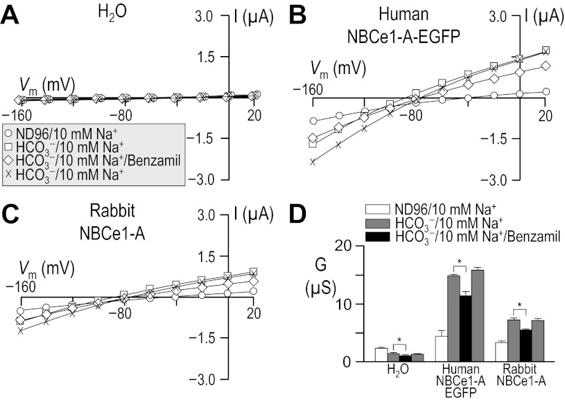 Fig. 17.