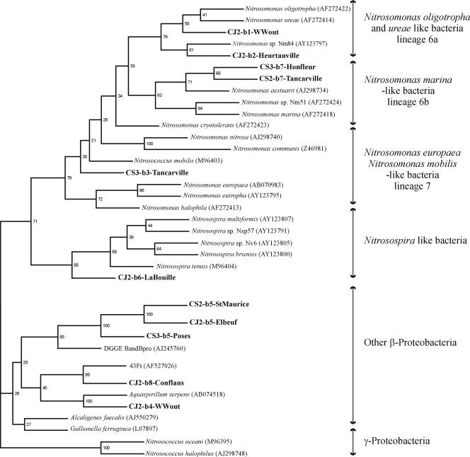 FIG. 5.