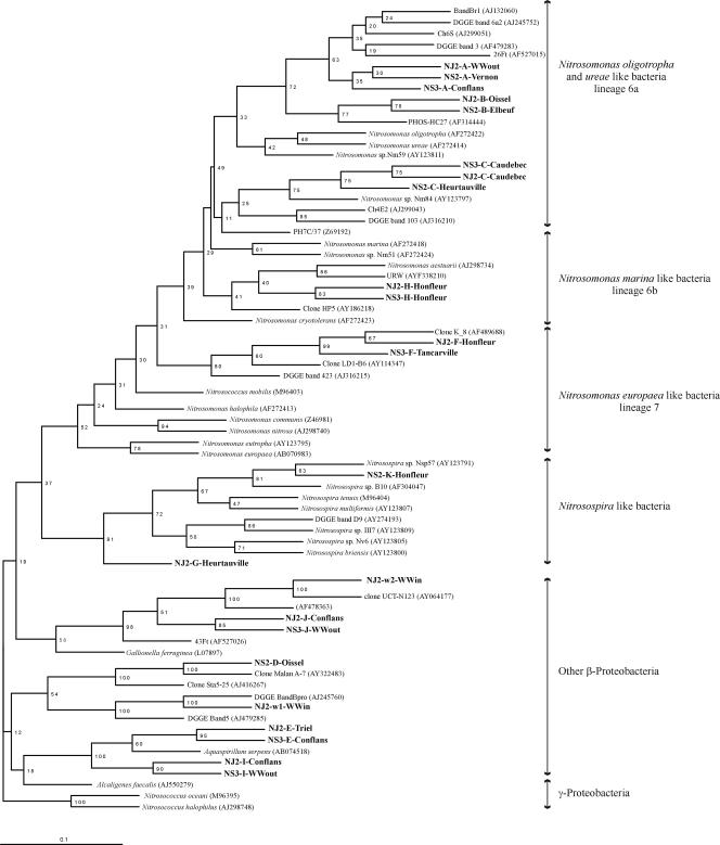 FIG. 6.