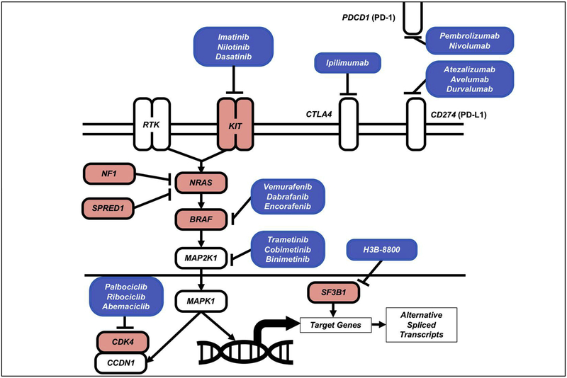 Figure 3: