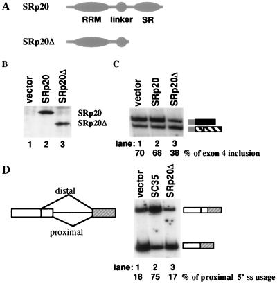 FIG. 6