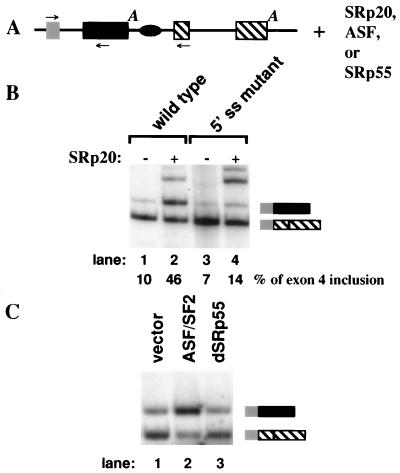 FIG. 5