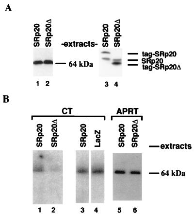 FIG. 7