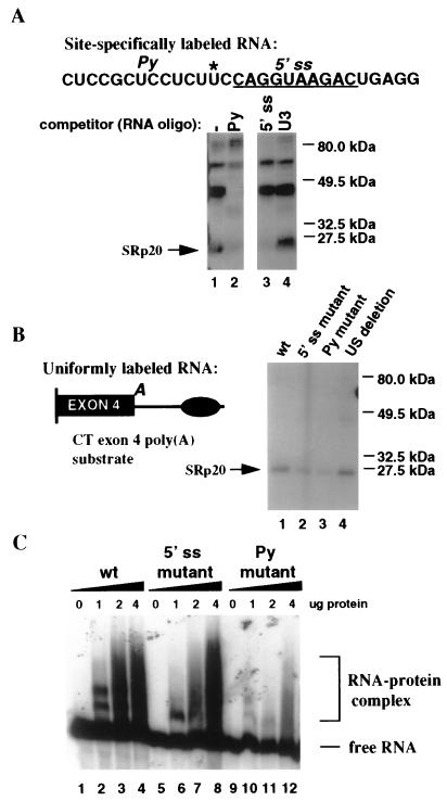 FIG. 3