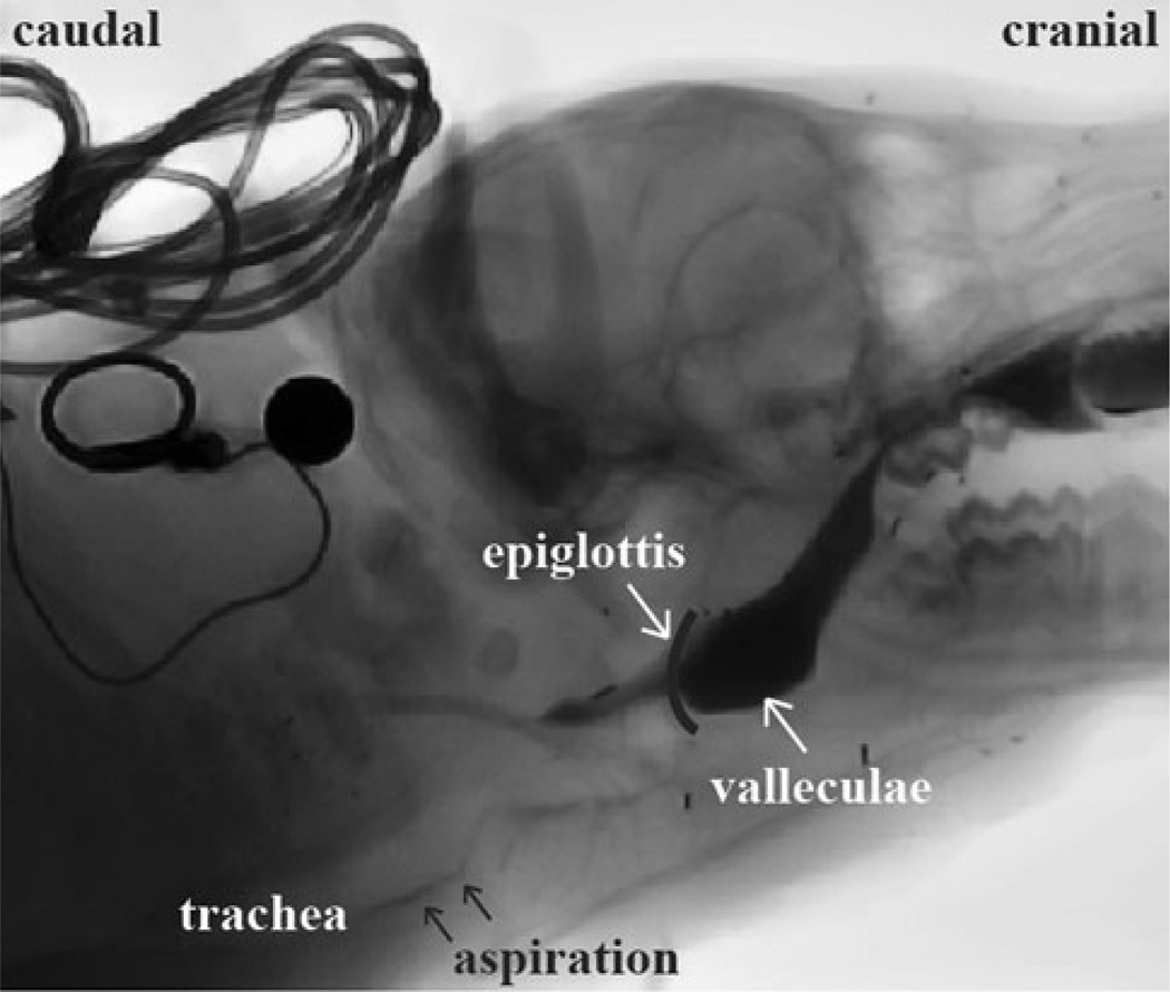 Fig. 2