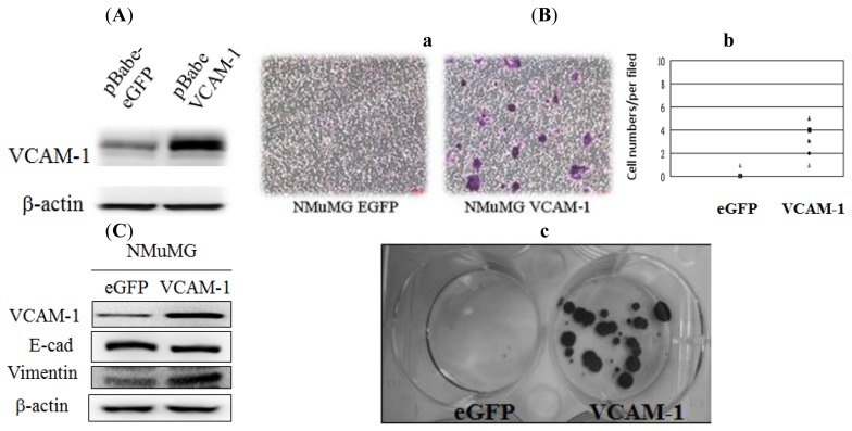 Figure 3.