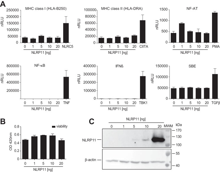 Figure 3.