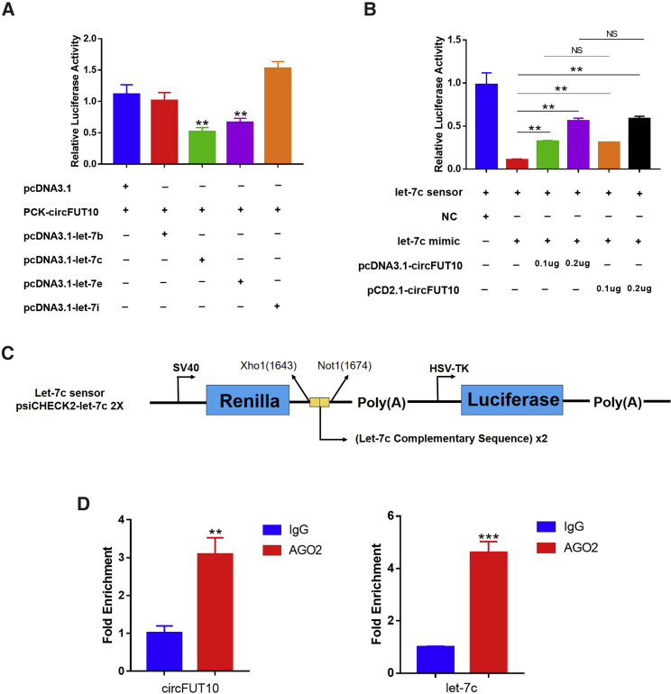 Figure 6