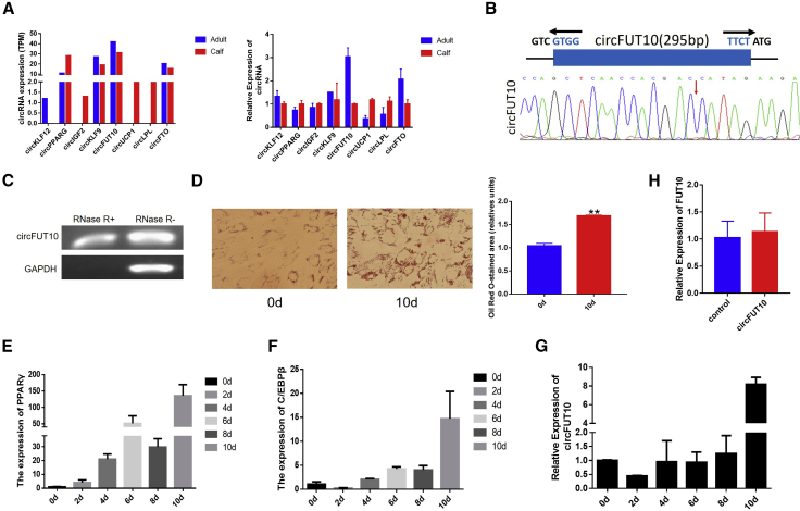 Figure 3