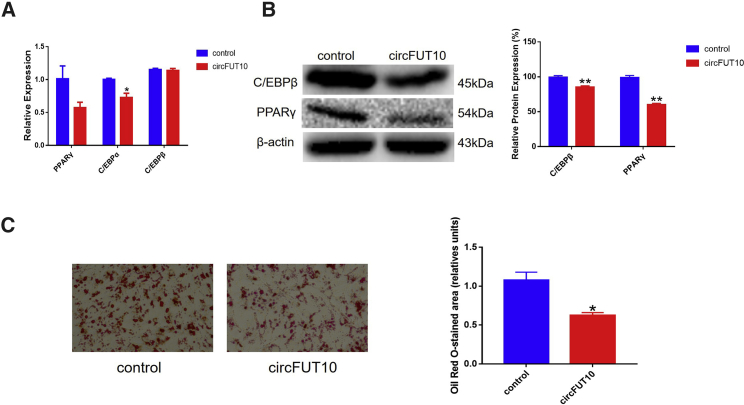 Figure 5